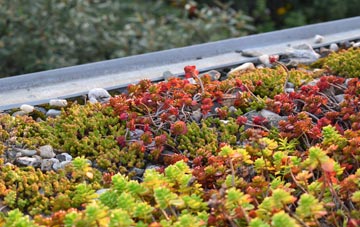 the cost of Studham green roof installation