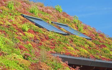 Studham living roof systems