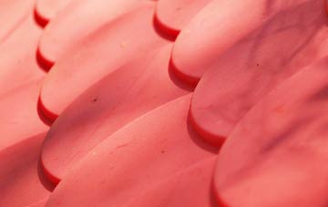 Studham plastic roof costs