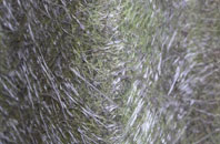 Studham fibreglass roof work